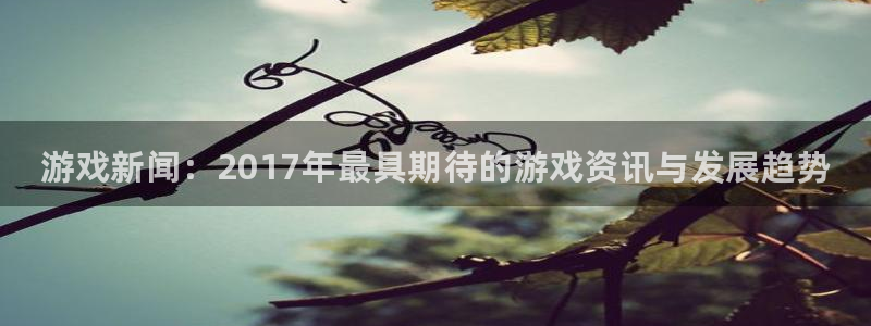 鼎点娱乐主管
