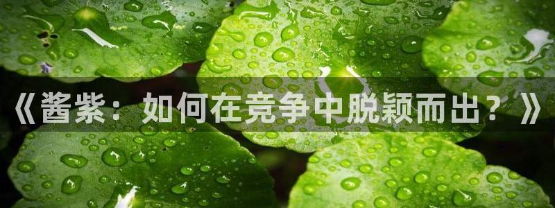 鼎点娱乐平台官网登录：《酱紫：如何在竞争中脱颖而出？》