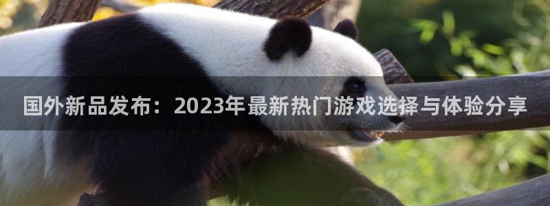 鼎点娱乐娱乐是真的吗：国外新品发布：2023年最新热门游戏选