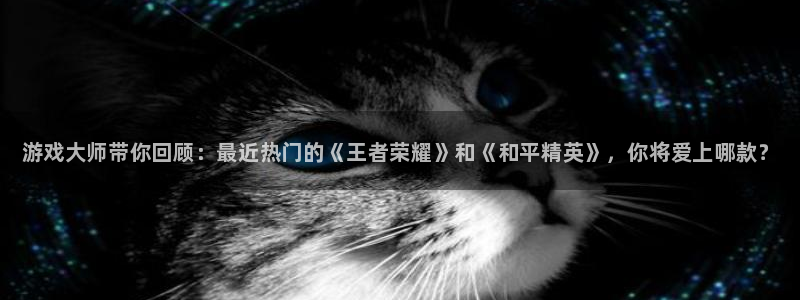 手机鼎点娱乐下载安装：游戏大师带你回顾：最近热门的《王者荣耀