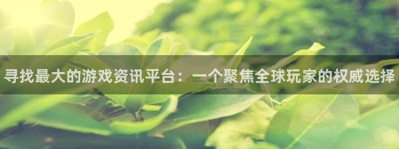 鼎点娱乐官网登录：寻找最大的游戏资讯平台：一个聚焦全球玩家的