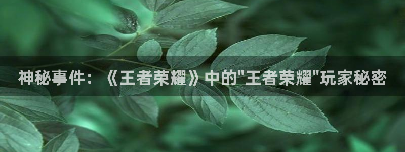 鼎点娱乐登陆地址：神秘事件：《王者荣耀》中的\