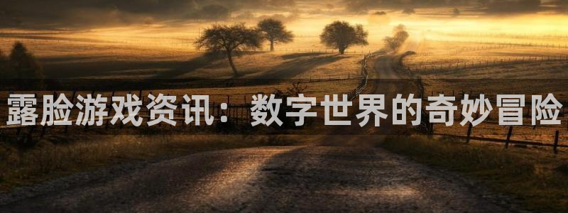 鼎点娱乐娱乐