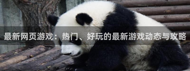 鼎点娱乐测速：最新网页游戏：热门、好玩的最新游戏动态与攻略