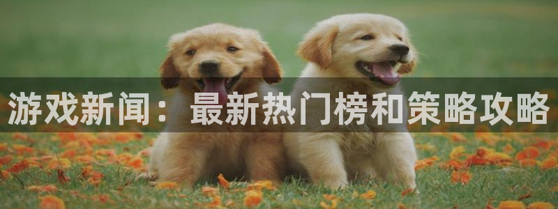 鼎点娱乐在线登录：游戏新闻：最新热门榜和策略攻略