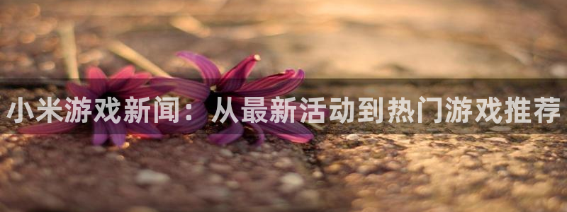 鼎点娱乐平台官网注册：小米游戏新闻：从最新活动到热门游戏推荐