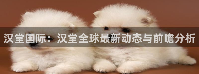 鼎点娱乐网址注册：汉堂国际：汉堂全球最新动态与前瞻分析