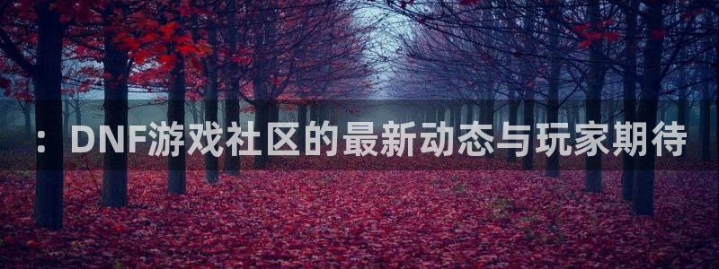 鼎点娱乐注册登录：：DNF游戏社区的最新动态与玩家期待