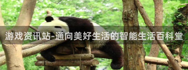 鼎点娱乐注册平台：游戏资讯站-通向美好生活的智能生活百科堂