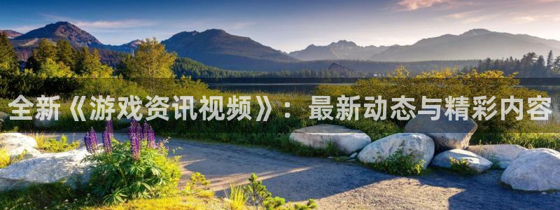 鼎点娱乐科技：全新《游戏资讯视频》：最新动态与精彩内容
