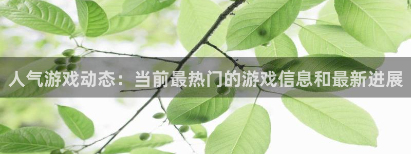 鼎点娱乐注册：人气游戏动态：当前最热门的游戏信息和最新进展