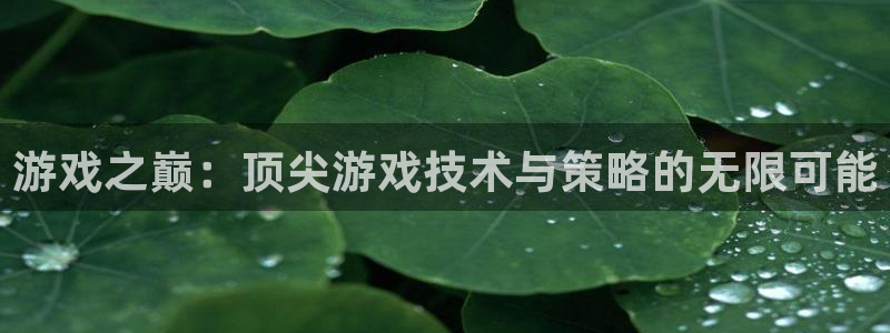 鼎点娱乐平台官方网站：游戏之巅：顶尖游戏技术与策略的无限可能