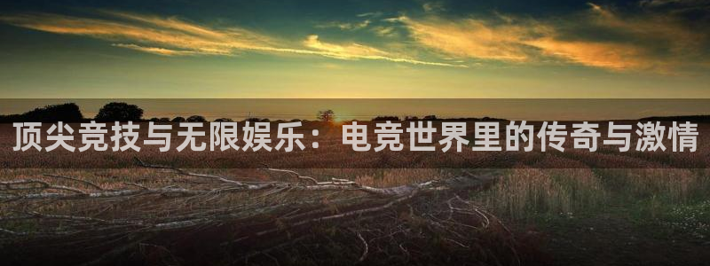 鼎点娱乐集团：顶尖竞技与无限娱乐：电竞世界里的传奇与激情